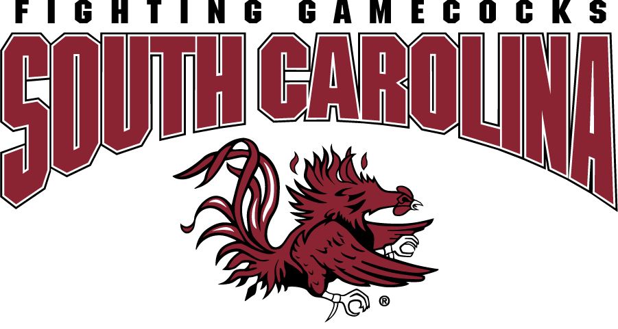 South Carolina Gamecocks 2008-2018 Alternate Logo diy iron on heat transfer